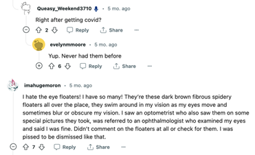 Someone replies saying that many Long Haulers report seeing them and that they themself had never had floaters before COVID. Another person responds saying that their floaters blur and obscure their vision and that they were frustrated to be told by an ophthalmologist that nothing is wrong.