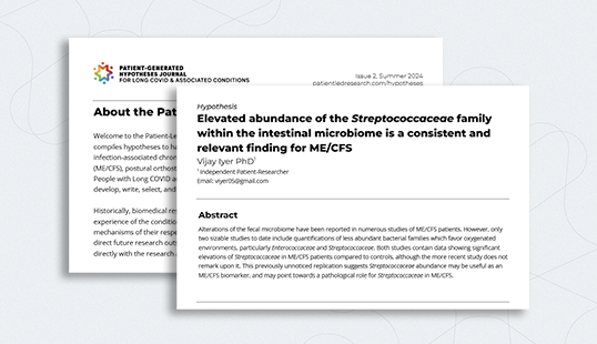 Screenshot of 2 pages from the Hypotheses Journal